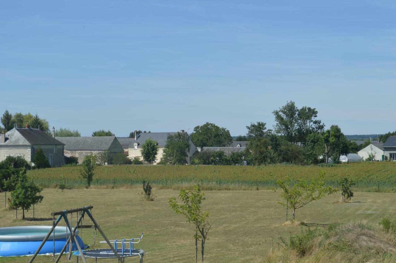 Gite Dans Le Vignoble De Bourgueil Le Port Boulet Εξωτερικό φωτογραφία