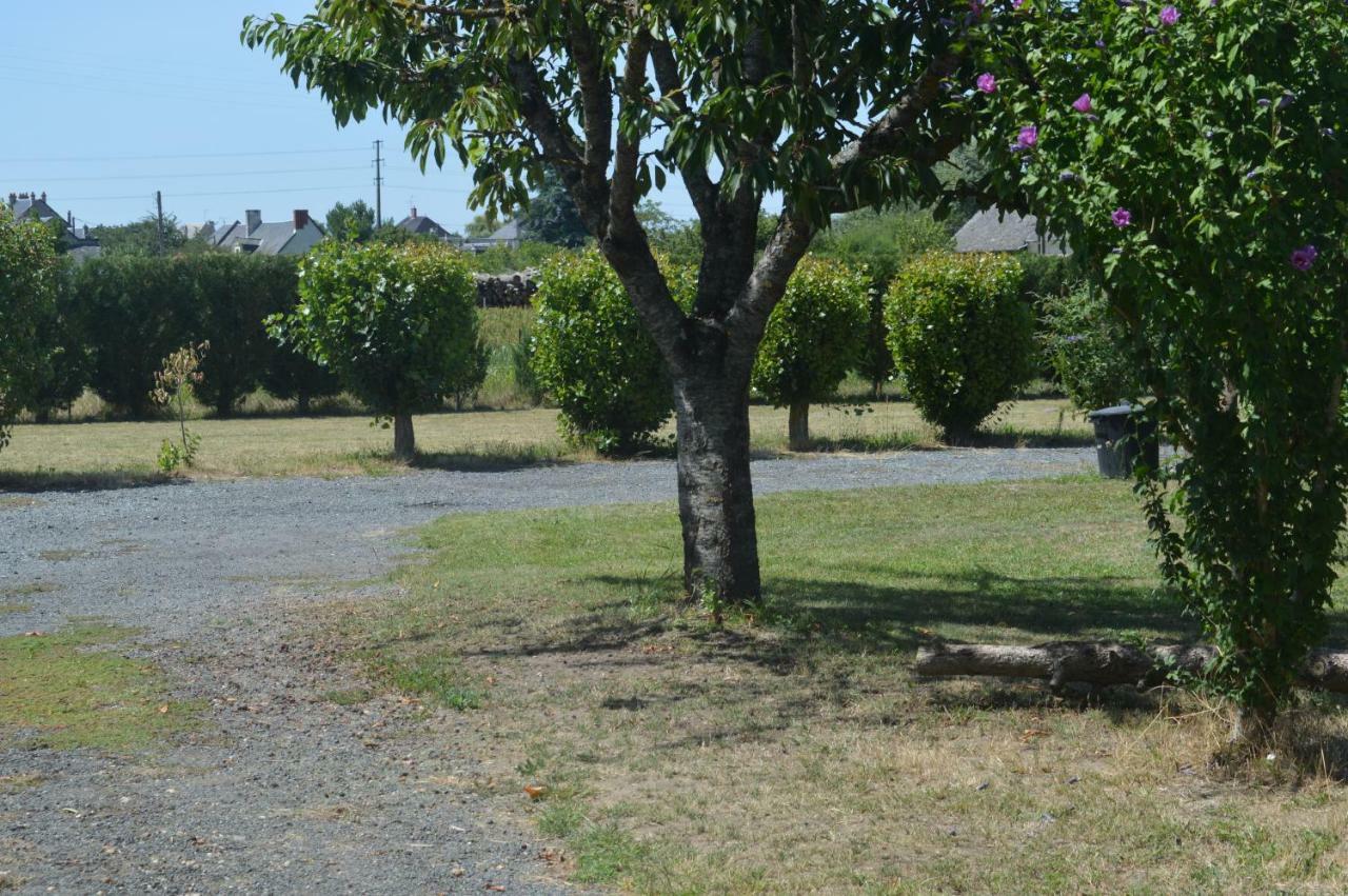 Gite Dans Le Vignoble De Bourgueil Le Port Boulet Εξωτερικό φωτογραφία