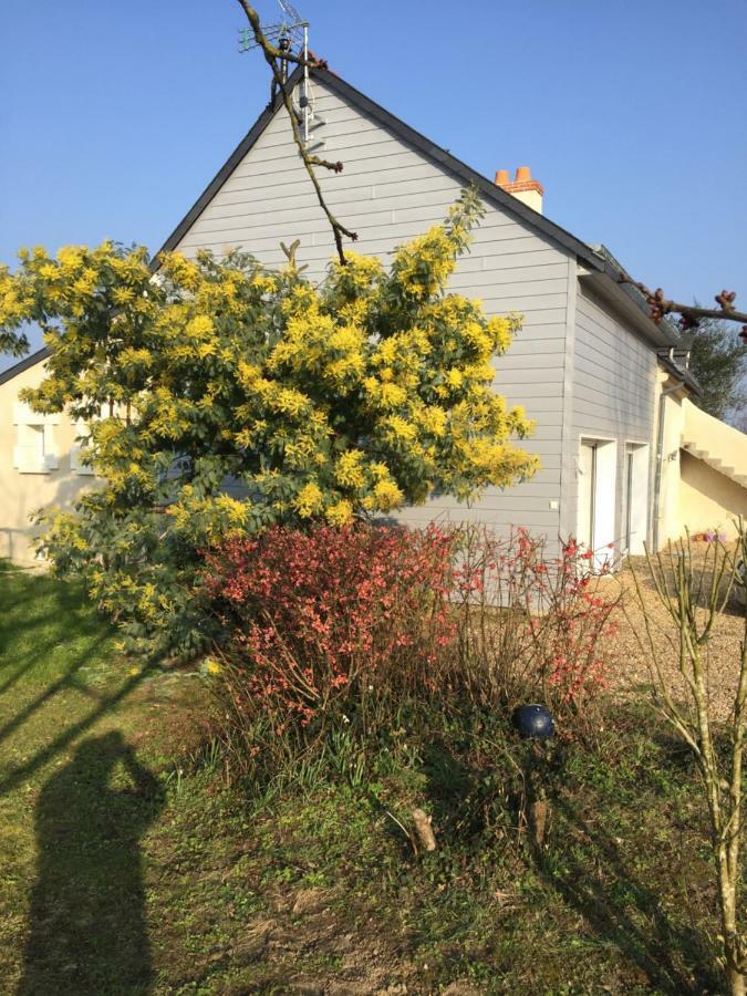 Gite Dans Le Vignoble De Bourgueil Le Port Boulet Εξωτερικό φωτογραφία